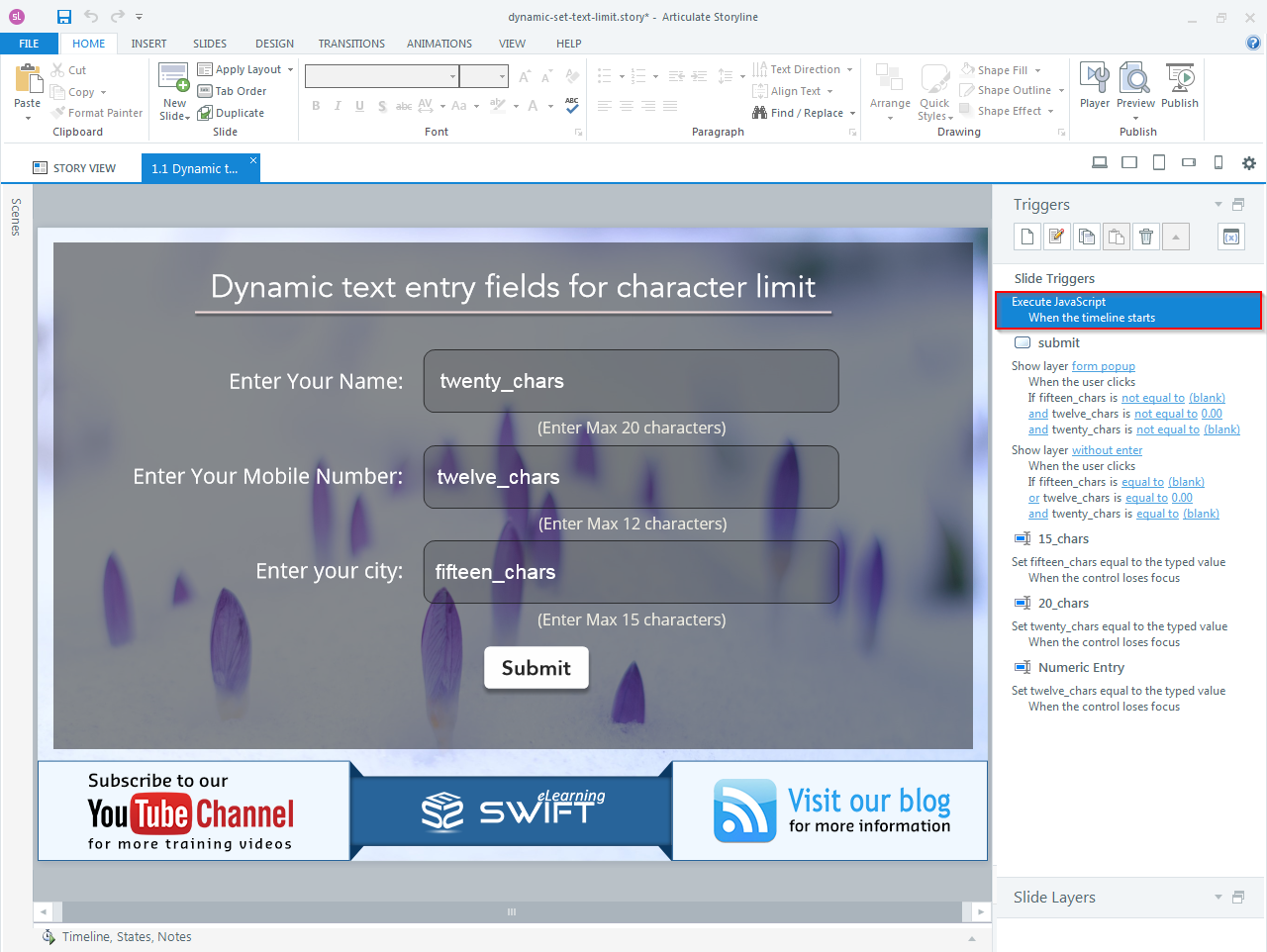 Character Limit For Dynamic Text Entry Fields In Storyline